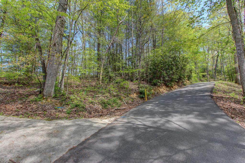 Lot 42 Ownby Drive - Photo 1