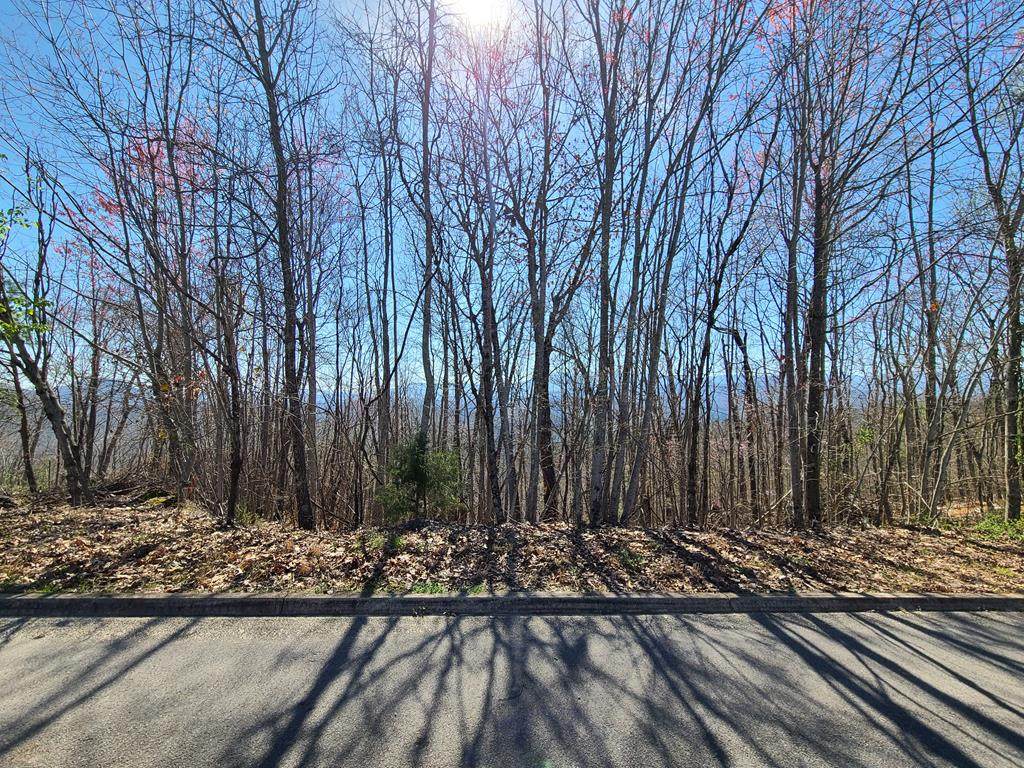 Lot 8 Shell Mountain Road - Photo 1