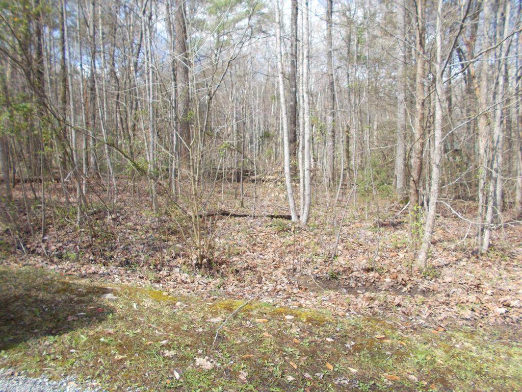 00 Laurelwood Rd - Photo 1