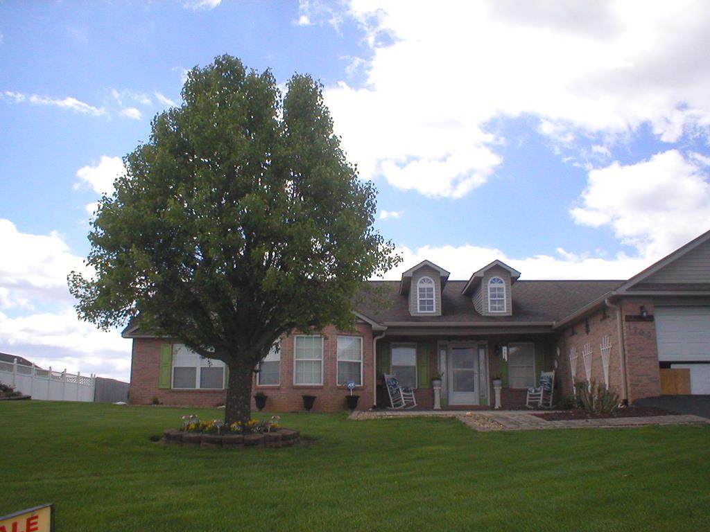 1709 Dandelion Court - Photo 1
