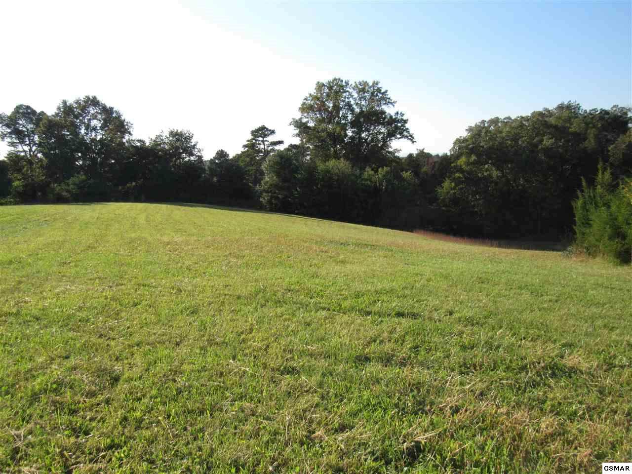 Lot 9 Mossy Oak Drive - Photo 1
