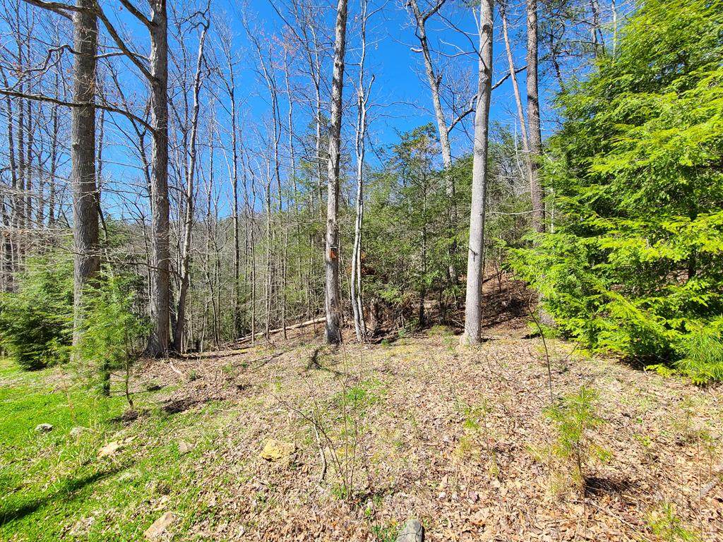 Lot 37 Saint Andrews Way - Photo 1