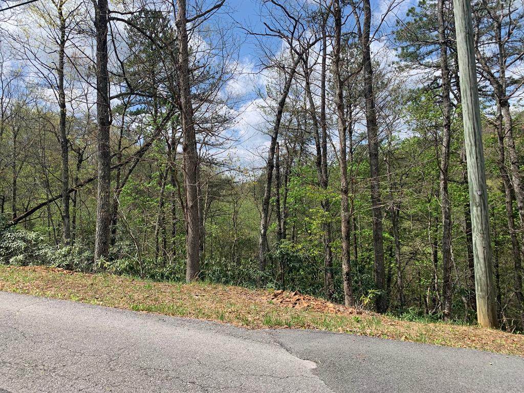 Lot 19 Thissa Way - Photo 1