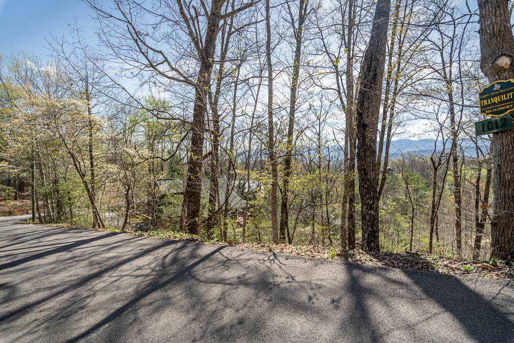 Lot 19 Vista Drive - Photo 1