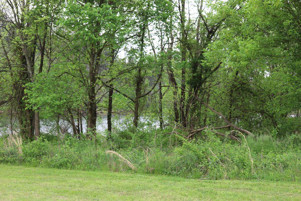 Lazy River Lane - Photo 1