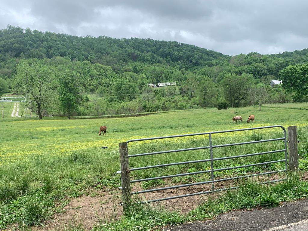 Hinchey Hollow Road - Photo 1