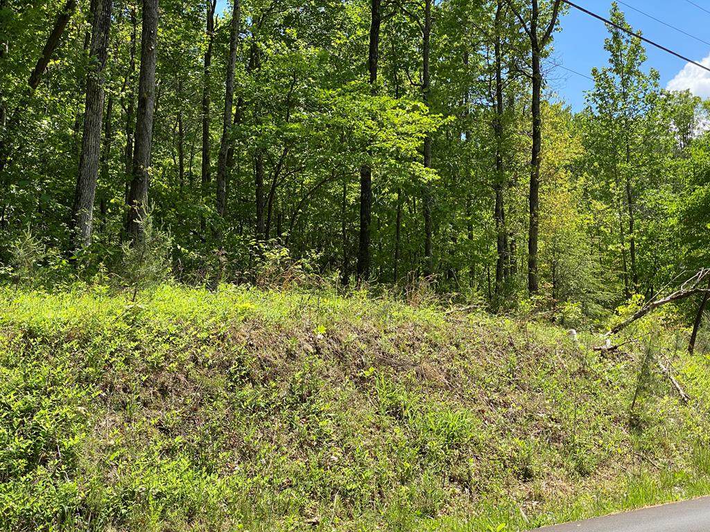 Lot 59 Alpine Drive - Photo 1