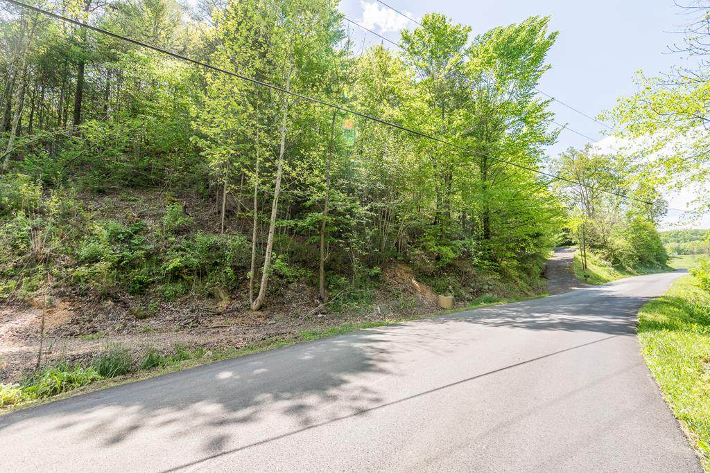 Old Mountain Rd Lot 3A - Photo 1