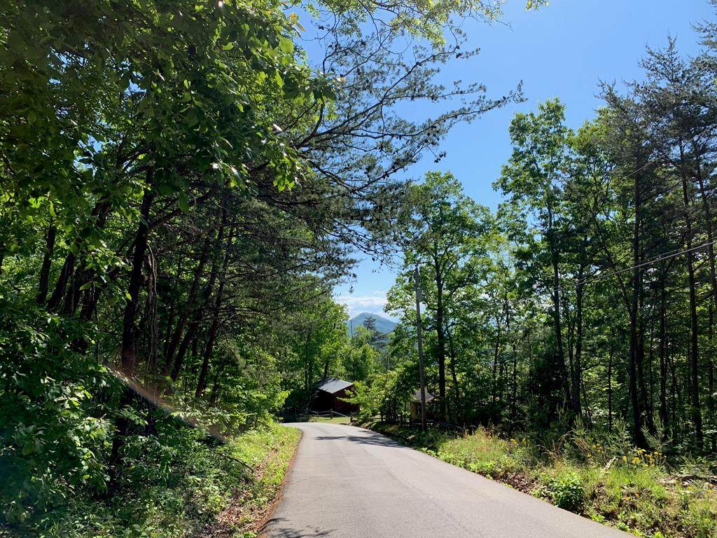 Lot 102A Shell Mtn Rd - Photo 1