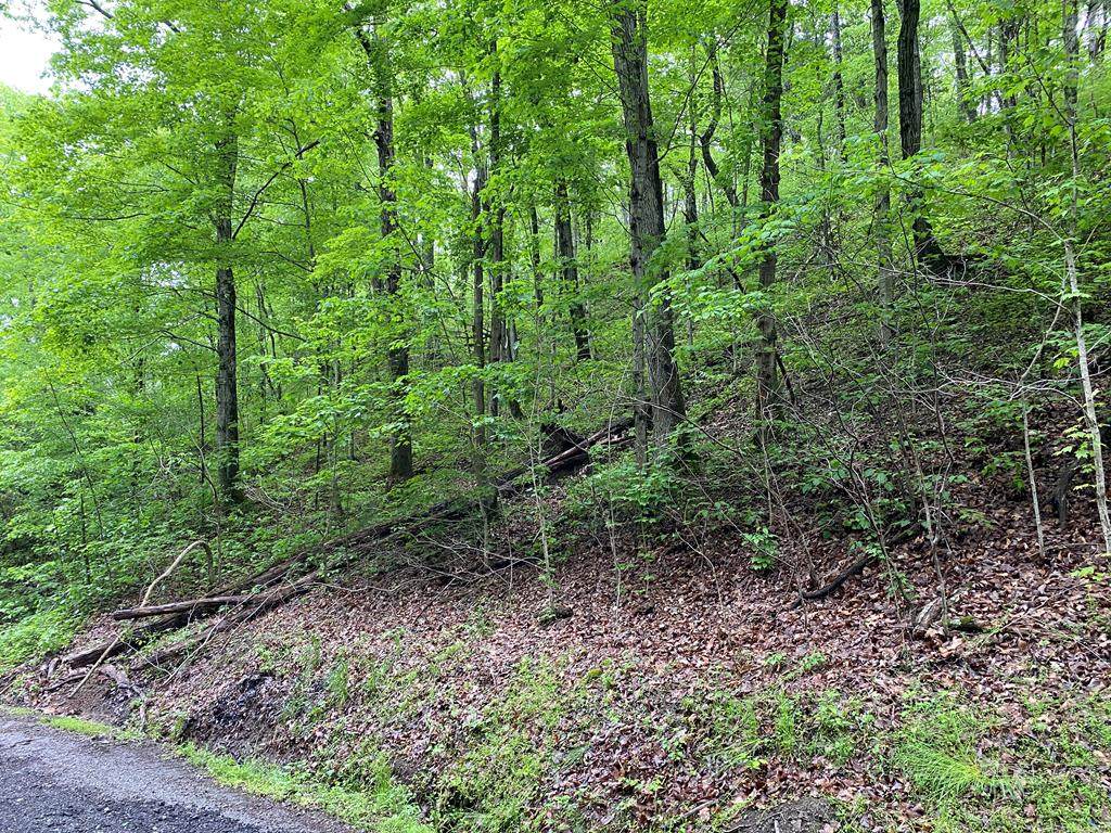 24.5 Ac Wolfe Rd - Photo 1