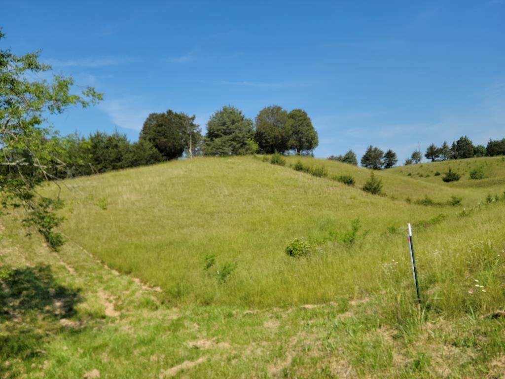 000 Flat Creek Rd. - Photo 1