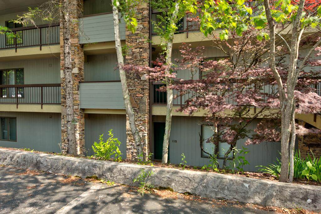1130 Ski View Drive #115 - Photo 1