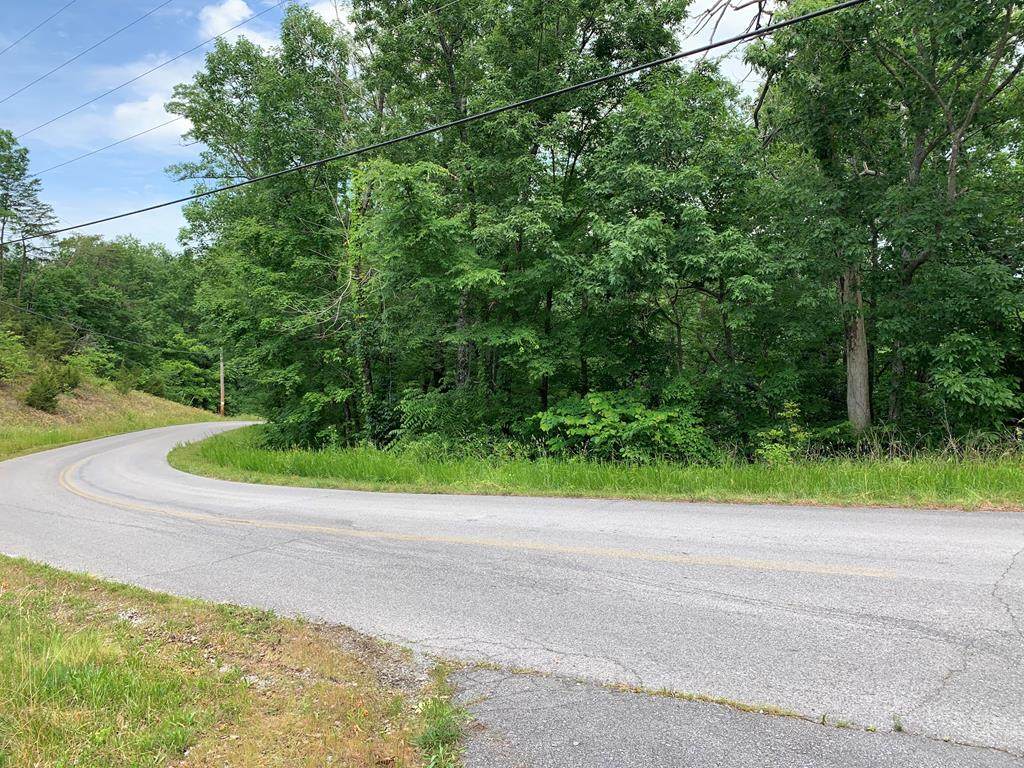 Lot 112 Tranquility Trl - Photo 1