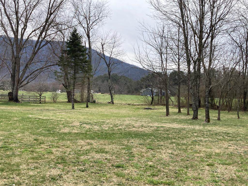 Lot 9 Meadowbrook Ln - Photo 1
