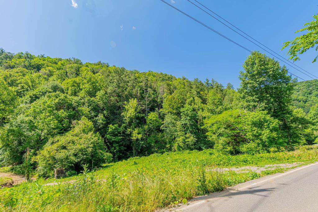 Wilhite Road - Photo 1
