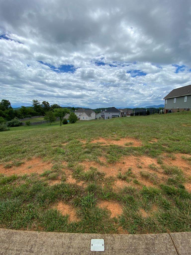 Lot 24 Vista Meadows Lane - Photo 1