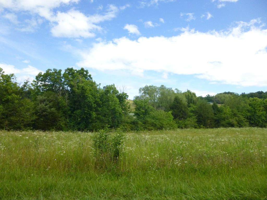 Par 002.13 Cedar Haven Way - Photo 1
