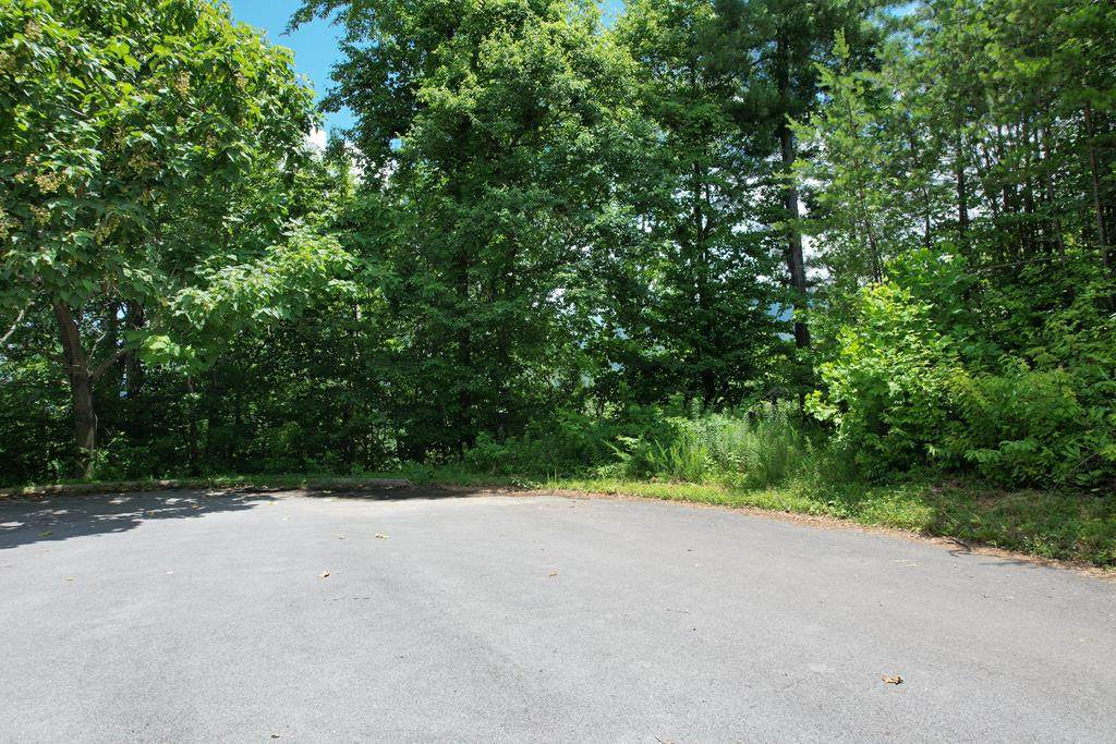 Lot 17R Grouse Ridge Lane - Photo 1