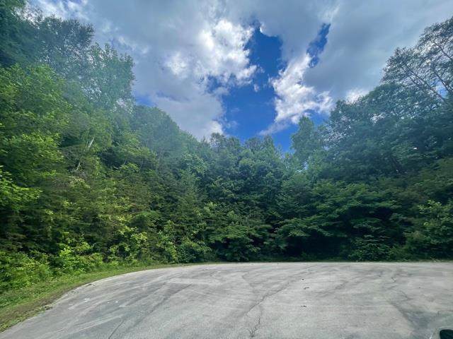 Lot 31 Bird Hill Rd - Photo 1
