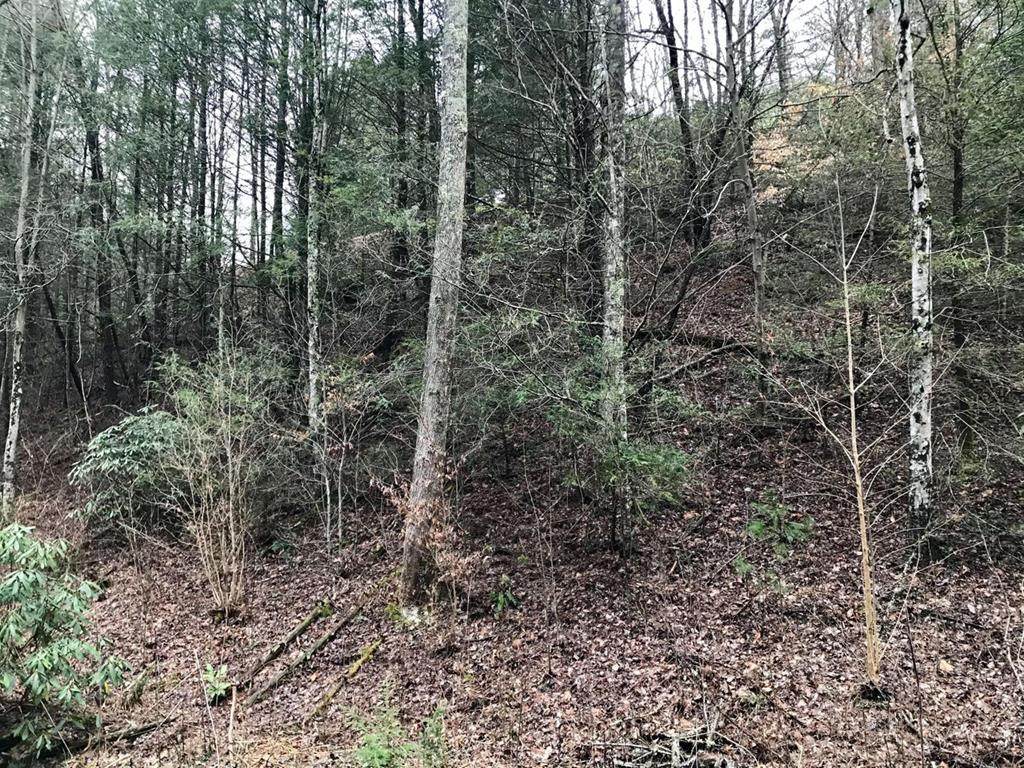 Butler Branch Rd - Photo 1