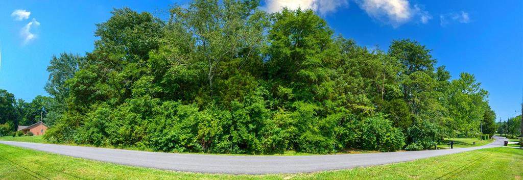 Lot 35 Lakewood Drive - Photo 1