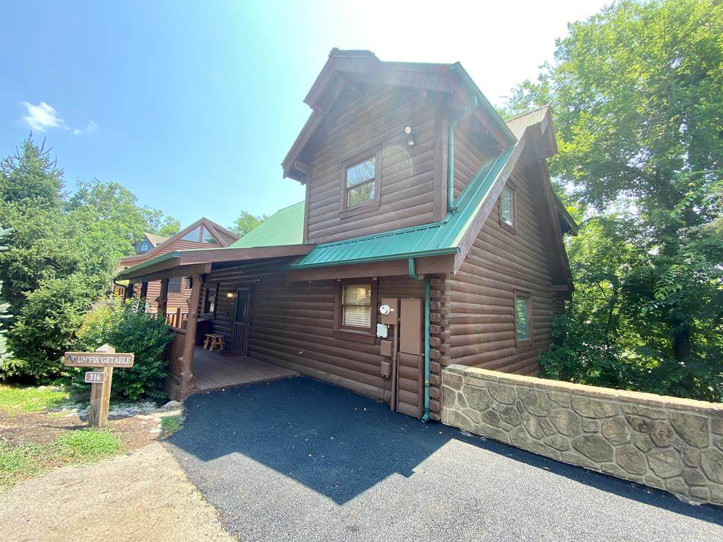 316 Alpine Mountain Way - Photo 1