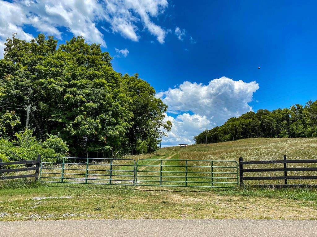 Cook Mill Road - Photo 1