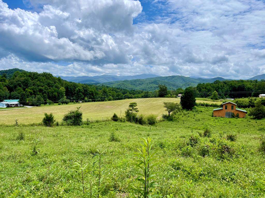 5.31 Acres Rudd Hollow Rd - Photo 1