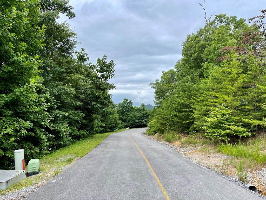 Lot 47E Harvest Moon Rd - Photo 1