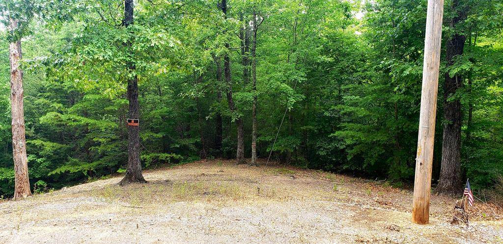 Lot 1702 Piney Drive - Photo 1