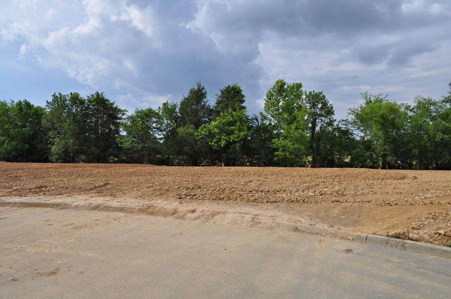 Lot 10 Fox Landing Ct - Photo 1