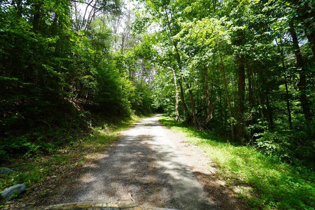 Par. 033.01 Joppa Mtn. Road - Photo 1