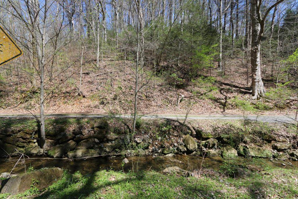 LOT 5 Cabin Creek Way - Photo 1