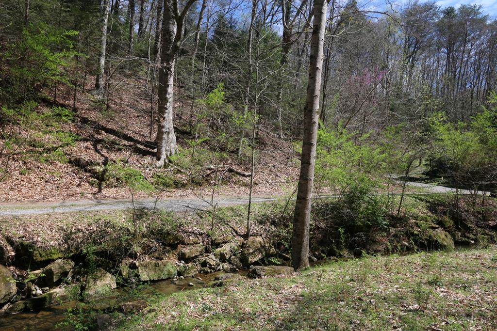 LOT 6 Cabin Creek Way - Photo 1