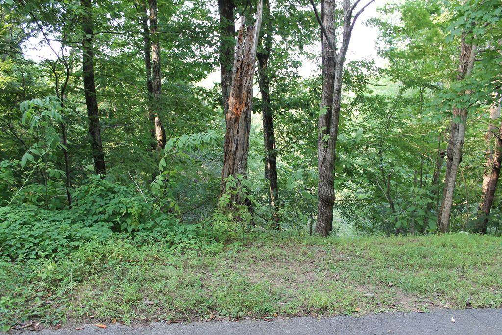 1626 Ridgecrest Dr - Photo 1