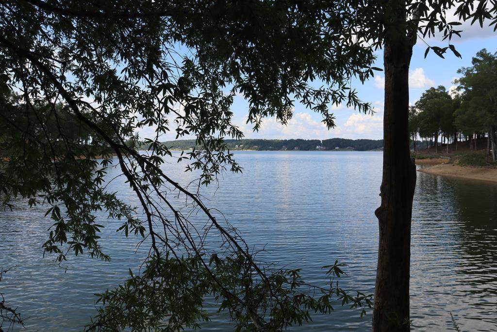 Lot 127 Ridge Point Trail - Photo 1