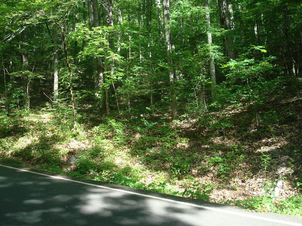 Lot 25-26 Bluff Mtn Road - Photo 1