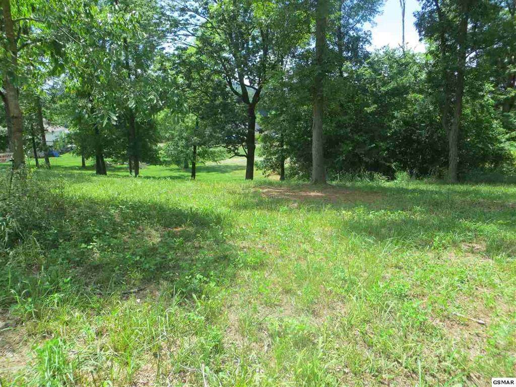 Chances Ridge Dr - Photo 1