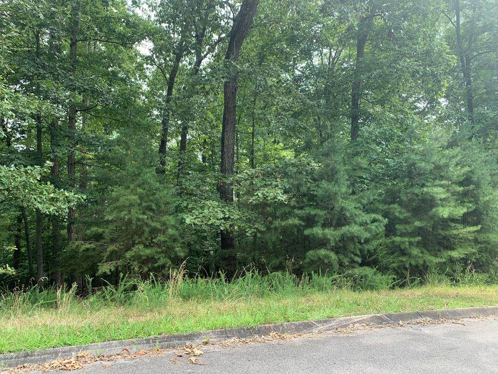 Lot 14 Waterstone Dr. - Photo 1