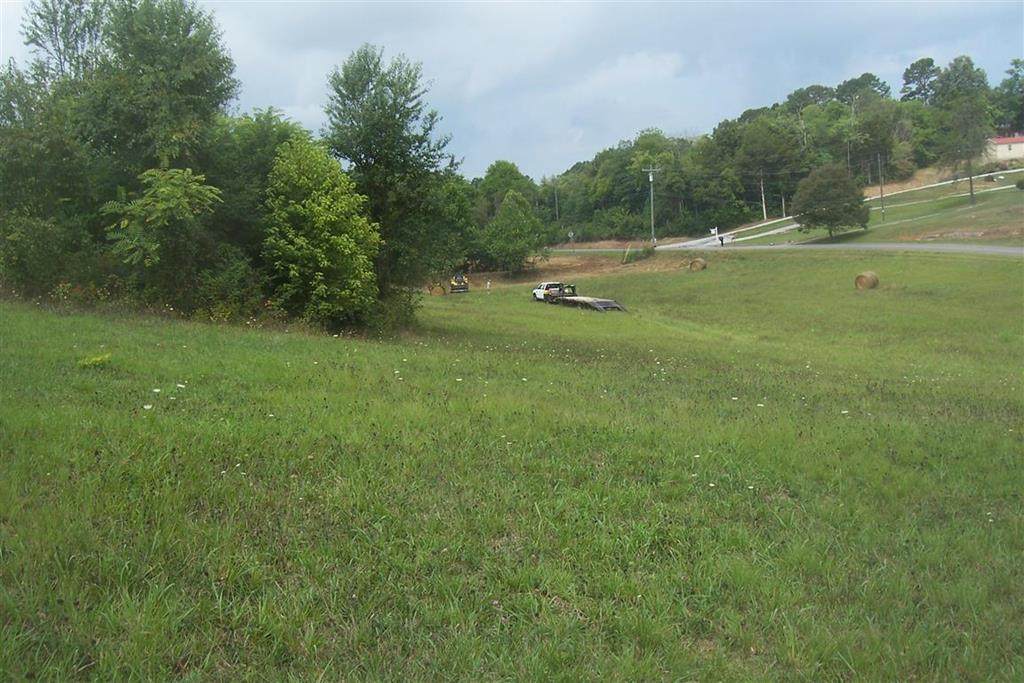 Lot 17 Ailey Rd - Photo 1