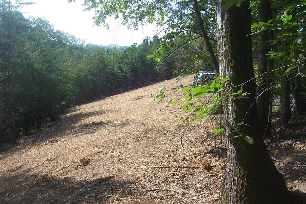 Par 052.03 Bales Rd - Photo 1