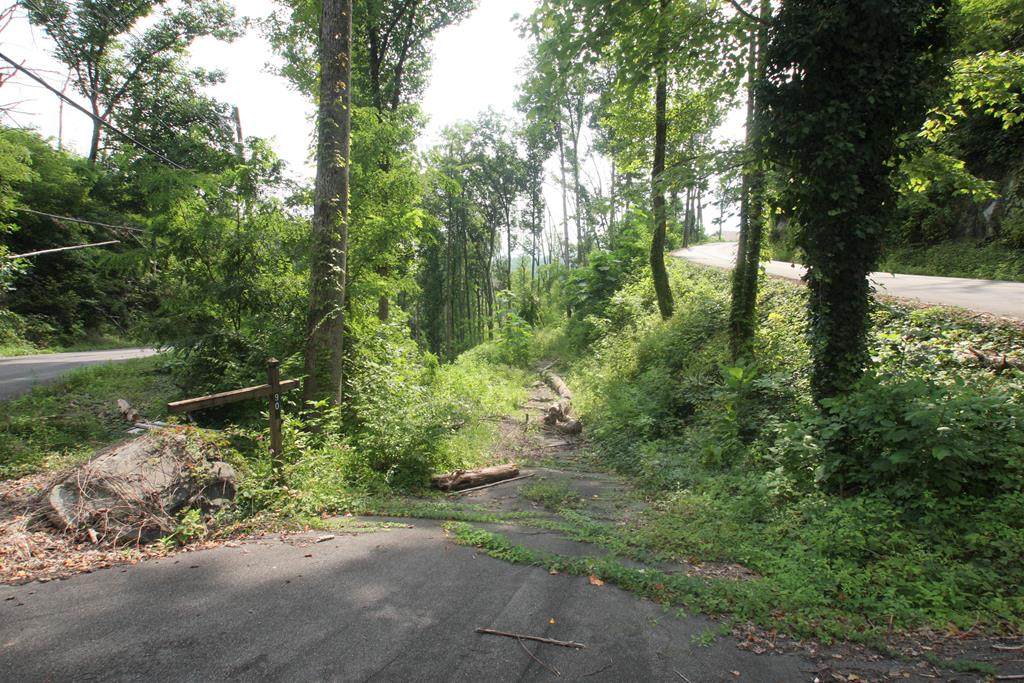 901 Cliff Branch Rd - Photo 1