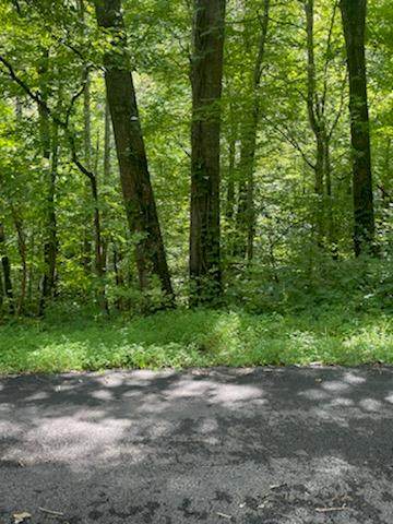 Lot 4 Lake Dr - Photo 1