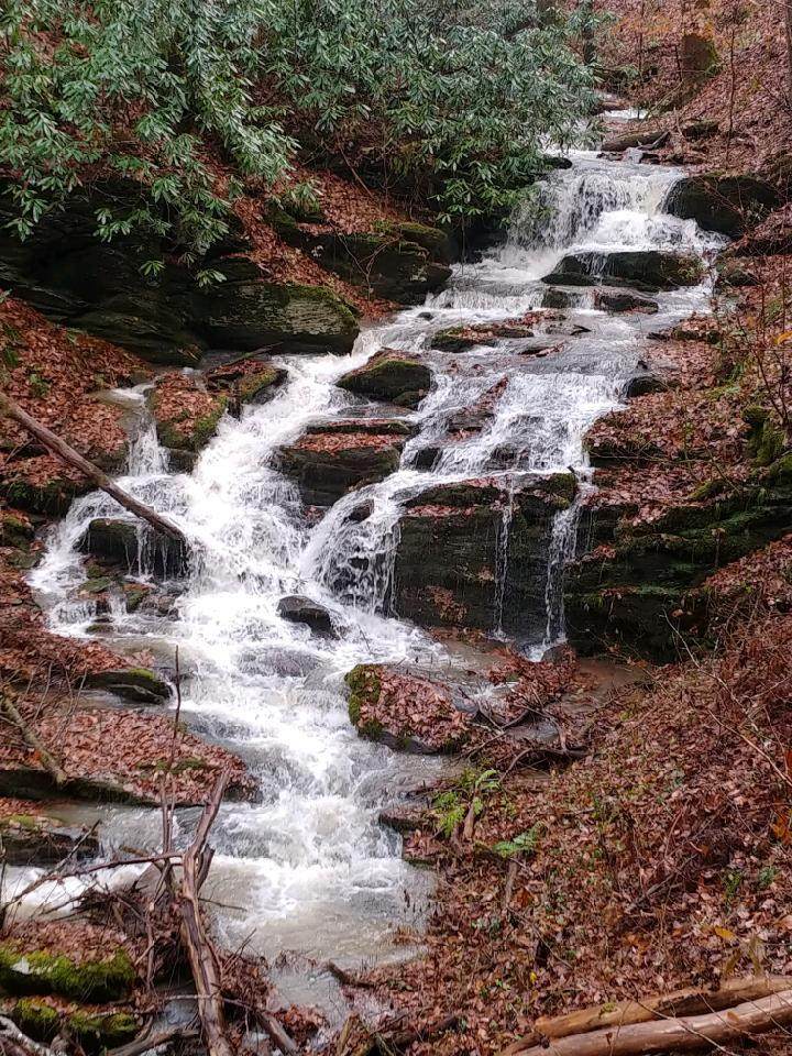 18.60 Acres Youngblood - Photo 1