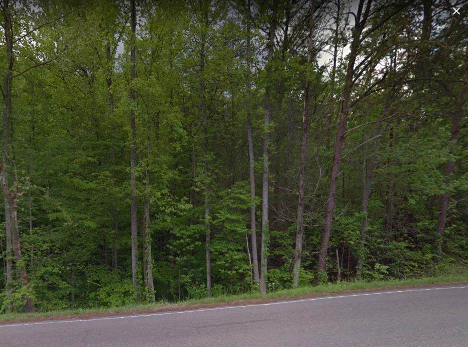 Lot 41 Butler Branch Road - Photo 1