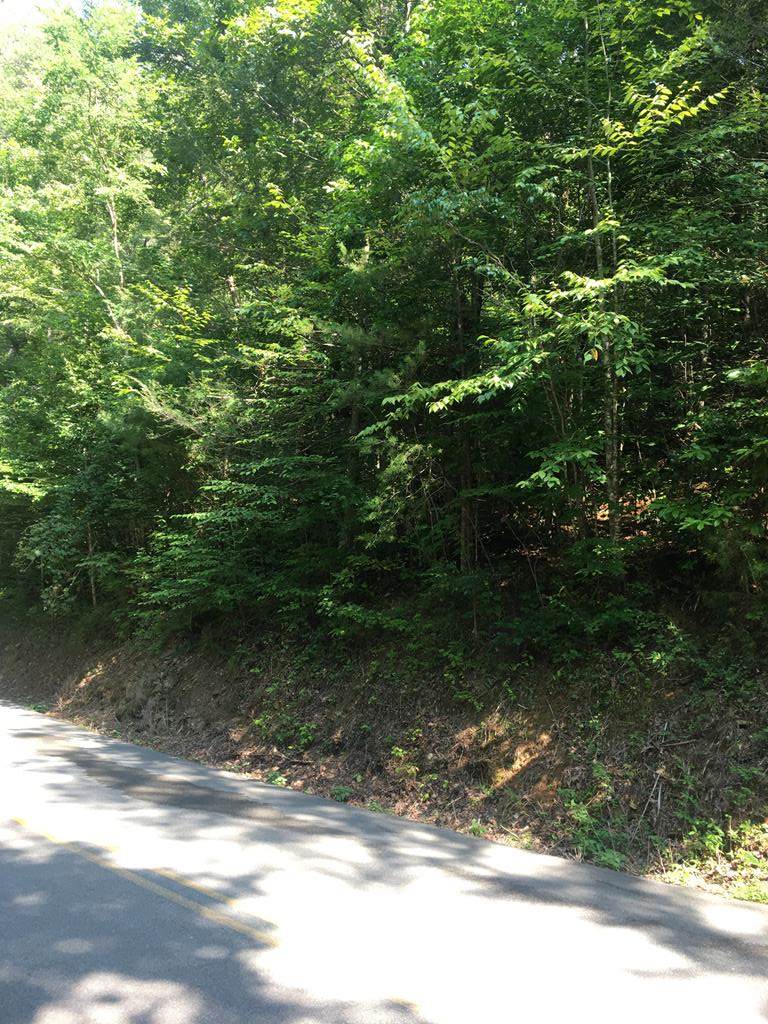 Henry Town Road & 1949 Amarlee Way - Photo 1