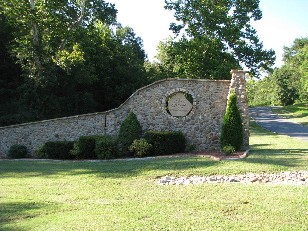 Lot 11 Cove Springs Dr. - Photo 1