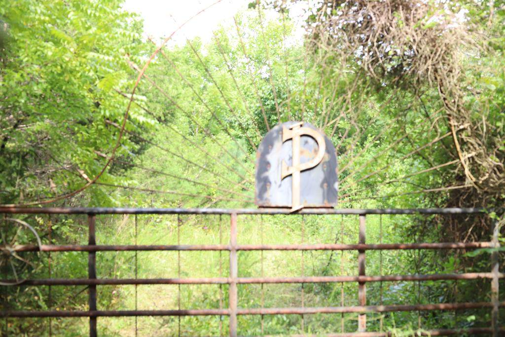 Guffy Hollow Road - Photo 1