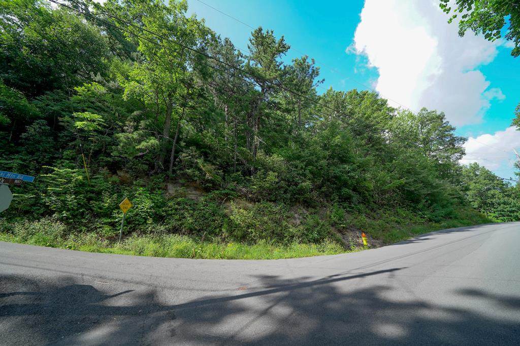 Lots19/43/44 Upper Alpine Way - Photo 1
