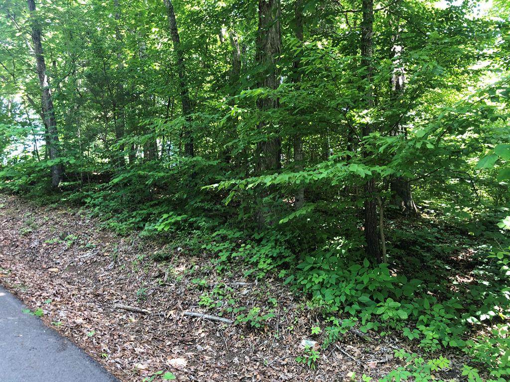 Lot 0094 Timber Lake Circle - Photo 1